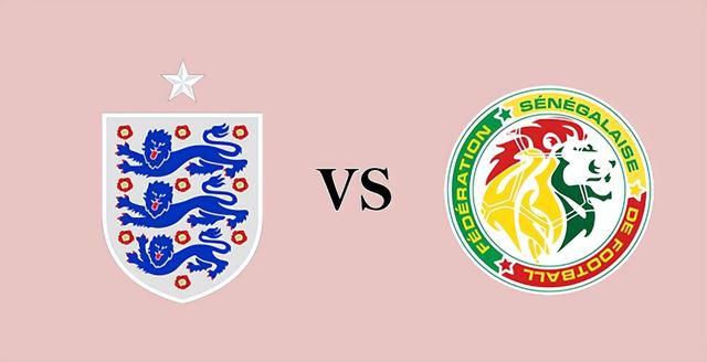我朋友的两个母亲